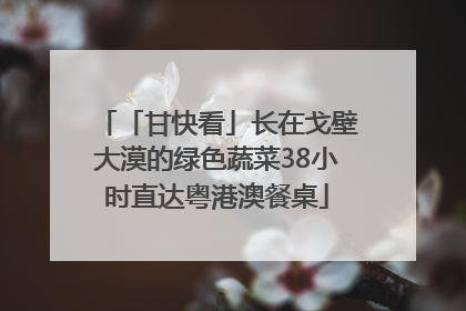 「甘快看」长在戈壁大漠的绿色蔬菜38小时直达粤港澳餐桌