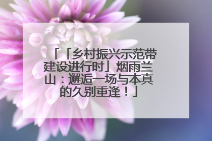 「乡村振兴示范带建设进行时」烟雨兰山：邂逅一场与本真的久别重逢！