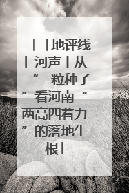 「地评线」河声丨从“一粒种子”看河南“两高四着力”的落地生根