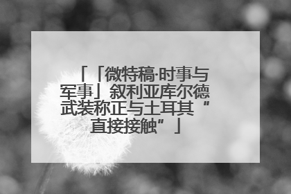 「微特稿·时事与军事」叙利亚库尔德武装称正与土耳其“直接接触”
