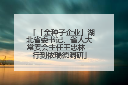 「金种子企业」湖北省委书记、省人大常委会主任王忠林一行到依瑞德调研