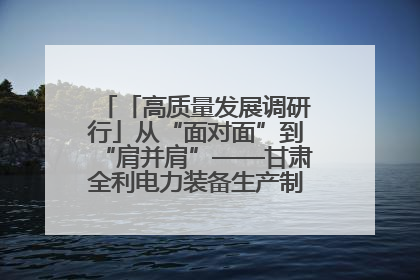 「高质量发展调研行」从“面对面”到“肩并肩”——甘肃全利电力装备生产制造项目一线见闻