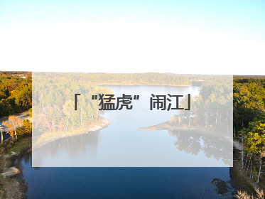 “猛虎”闹江