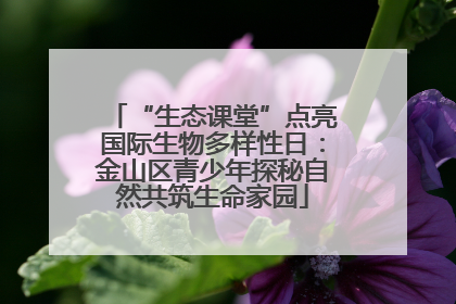 “生态课堂”点亮国际生物多样性日：金山区青少年探秘自然共筑生命家园