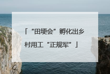 “田埂会”孵化出乡村用工“正规军”