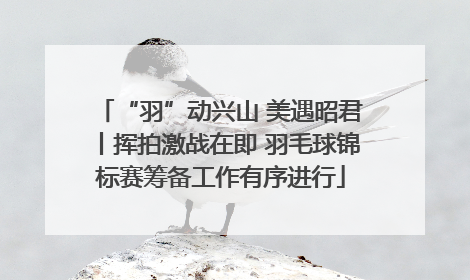 “羽”动兴山 美遇昭君丨挥拍激战在即 羽毛球锦标赛筹备工作有序进行