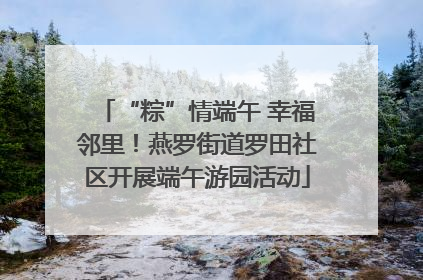 “粽”情端午 幸福邻里！燕罗街道罗田社区开展端午游园活动