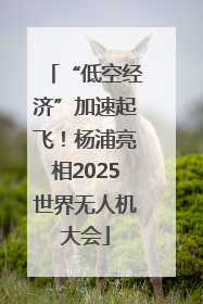 “低空经济”加速起飞！杨浦亮相2025世界无人机大会