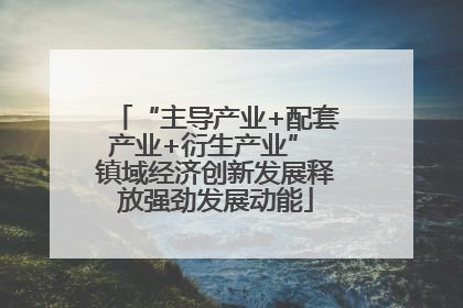 “主导产业+配套产业+衍生产业” 镇域经济创新发展释放强劲发展动能