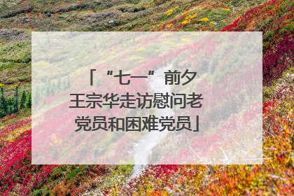 “七一”前夕 王宗华走访慰问老党员和困难党员