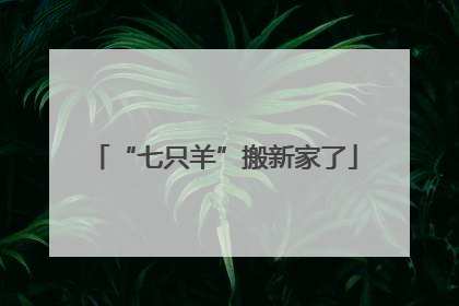 “七只羊”搬新家了