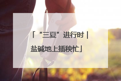 “三夏”进行时｜盐碱地上插秧忙