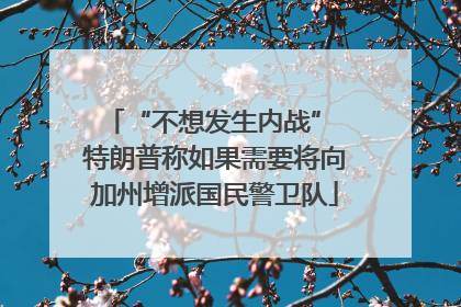 “不想发生内战” 特朗普称如果需要将向加州增派国民警卫队