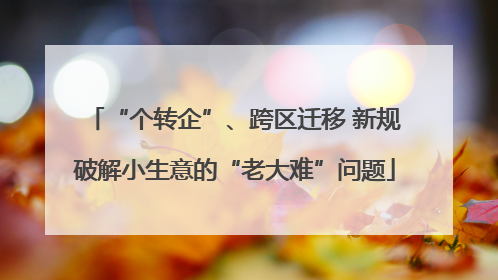 “个转企”、跨区迁移 新规破解小生意的“老大难”问题