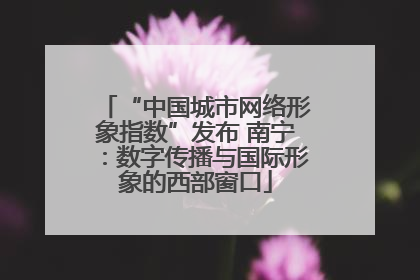 “中国城市网络形象指数”发布 南宁：数字传播与国际形象的西部窗口