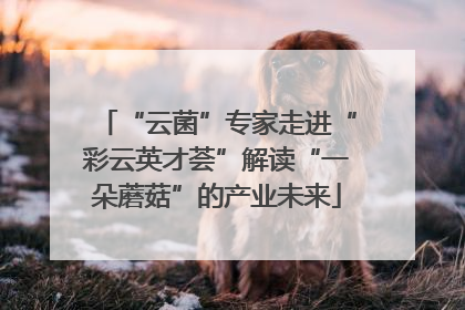 “云菌”专家走进“彩云英才荟”解读“一朵蘑菇”的产业未来