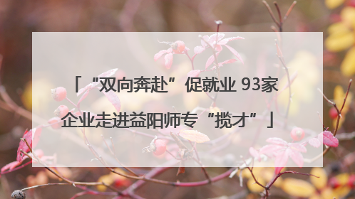 “双向奔赴”促就业 93家企业走进益阳师专“揽才”