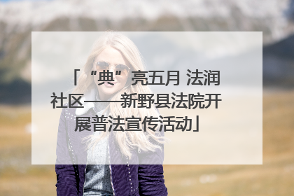 “典”亮五月 法润社区——新野县法院开展普法宣传活动