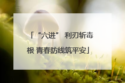 “六进” 利刃斩毒根 青春防线筑平安