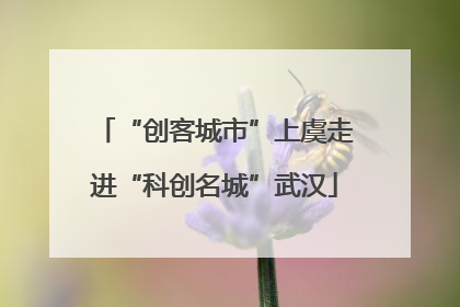 “创客城市”上虞走进“科创名城”武汉