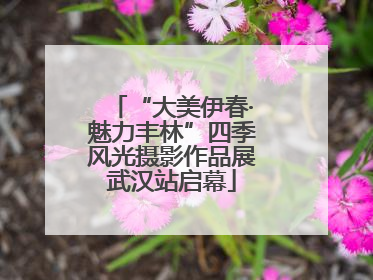 “大美伊春·魅力丰林”四季风光摄影作品展武汉站启幕
