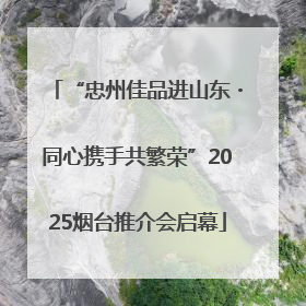“忠州佳品进山东・同心携手共繁荣”2025烟台推介会启幕