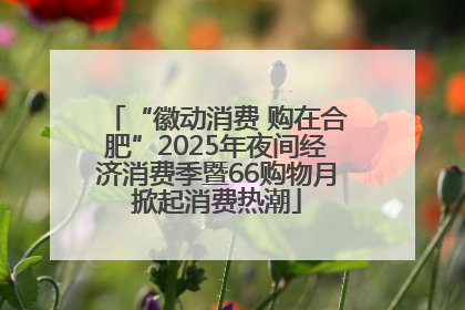 “徽动消费 购在合肥”2025年夜间经济消费季暨66购物月掀起消费热潮