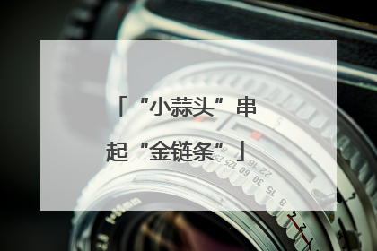 “小蒜头”串起“金链条”