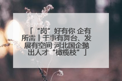 “岗”好有你 企有所需丨干事有舞台、发展有空间 河北国企抛出人才“橄榄枝”