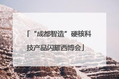 “成都智造”硬核科技产品闪耀西博会