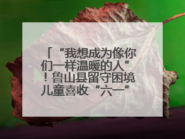 “我想成为像你们一样温暖的人”！鲁山县留守困境儿童喜收“六一”暖心礼