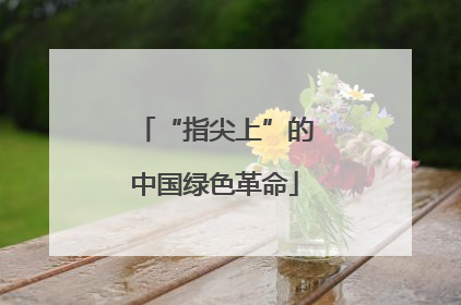 “指尖上”的中国绿色革命