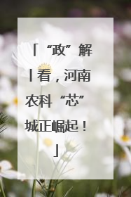 “政”解丨看，河南农科“芯”城正崛起！