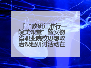 “教研江淮行—皖美课堂”暨安徽省职业院校思想政治课程研讨活动在芜湖高级职业技术学校举行
