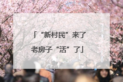 “新村民”来了 老房子“活”了