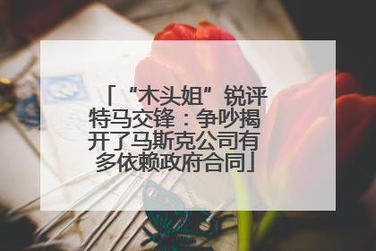 “木头姐”锐评特马交锋：争吵揭开了马斯克公司有多依赖政府合同