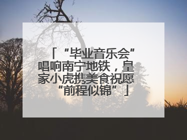 “毕业音乐会”唱响南宁地铁，皇家小虎携美食祝愿“前程似锦”