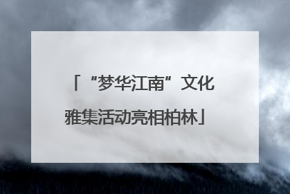 “梦华江南”文化雅集活动亮相柏林