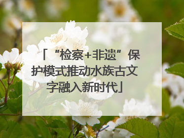 “检察+非遗”保护模式推动水族古文字融入新时代