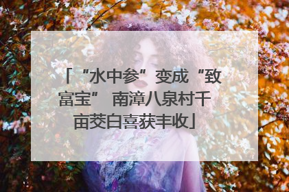 “水中参”变成“致富宝” 南漳八泉村千亩茭白喜获丰收