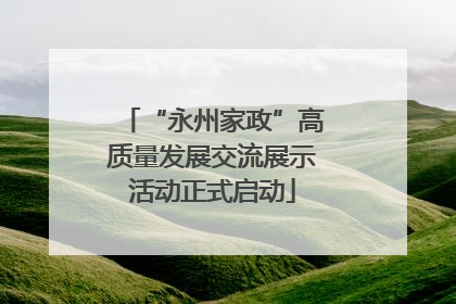 “永州家政”高质量发展交流展示活动正式启动
