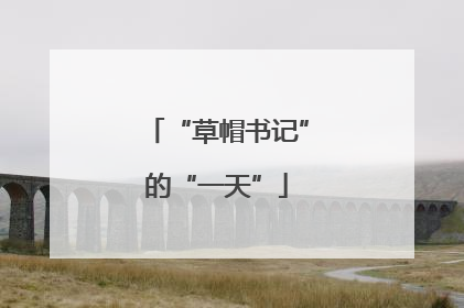 “草帽书记”的“一天”