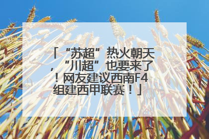 “苏超”热火朝天，“川超”也要来了！网友建议西南F4组建西甲联赛！