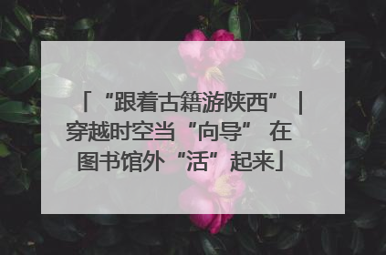 “跟着古籍游陕西”｜穿越时空当“向导” 在图书馆外“活”起来