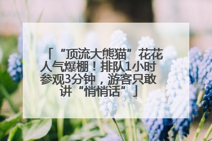 “顶流大熊猫”花花人气爆棚！排队1小时参观3分钟，游客只敢讲“悄悄话”