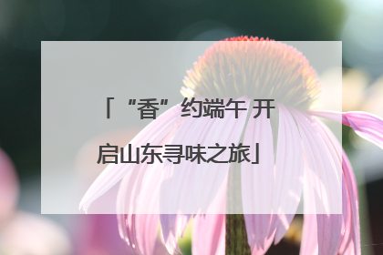 “香”约端午 开启山东寻味之旅