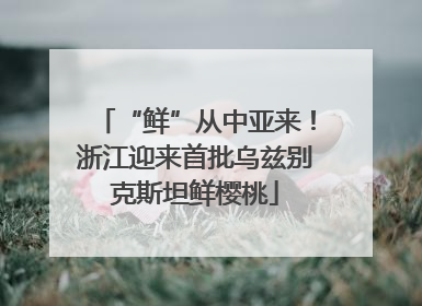 “鲜”从中亚来！浙江迎来首批乌兹别克斯坦鲜樱桃