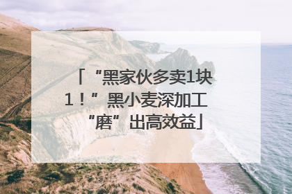 “黑家伙多卖1块1！”黑小麦深加工“磨”出高效益