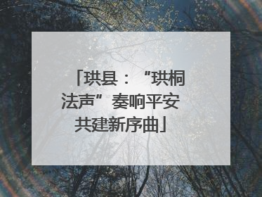 珙县：“珙桐法声”奏响平安共建新序曲