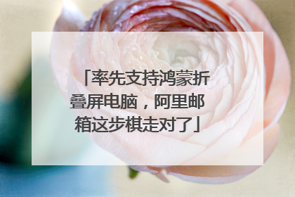 率先支持鸿蒙折叠屏电脑，阿里邮箱这步棋走对了
